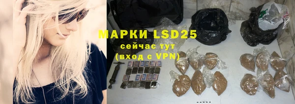 крисы Абаза