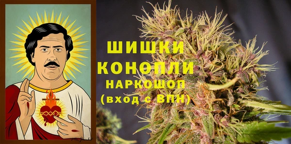 крисы Абаза