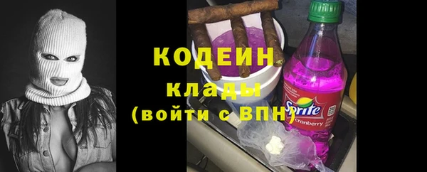 крисы Абаза