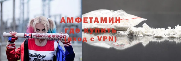 крисы Абаза