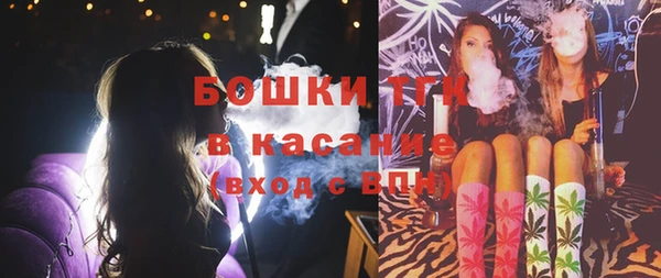 крисы Абдулино