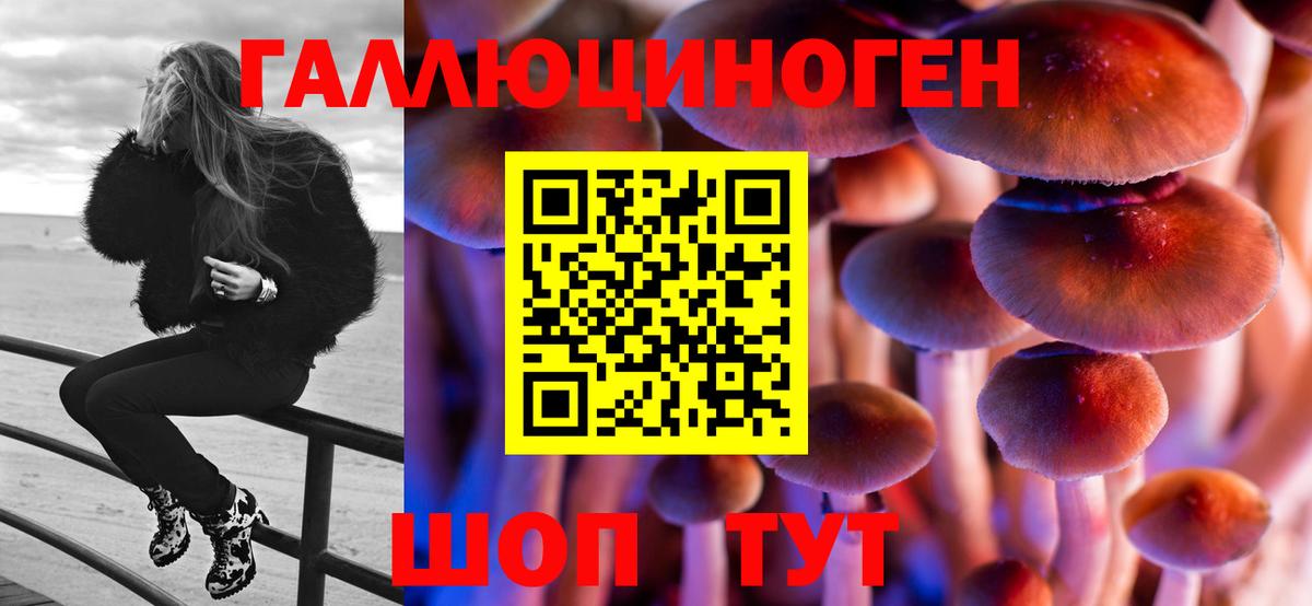 Галлюциногенные грибы мухоморы  Вход с VPN  Альметьевск  Псилоцибиновые грибы мухоморы 